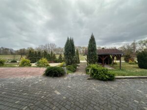 sala opole taras rzeka panew zielen imprezy